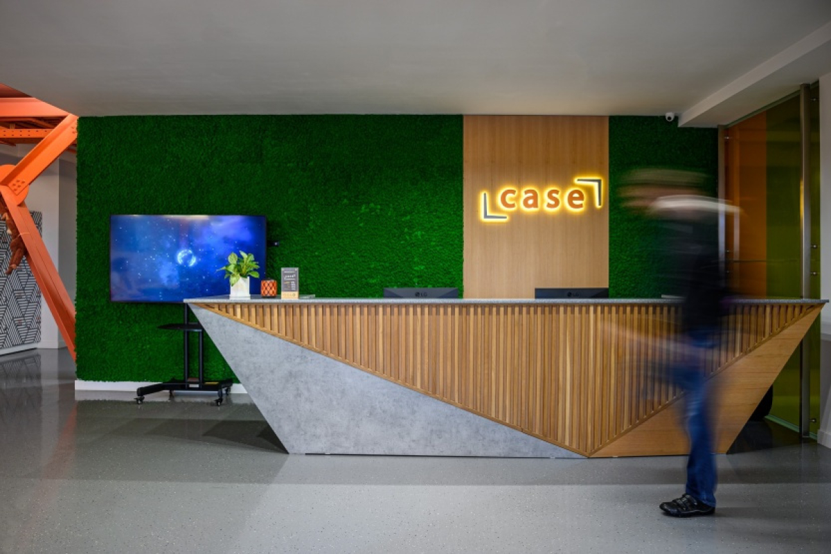 CASE Владимирская