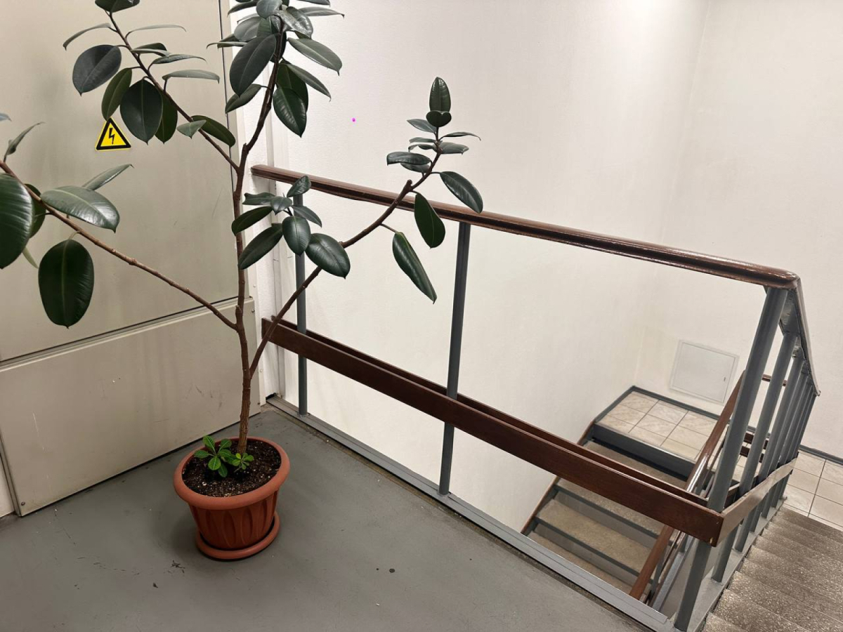 Комплекс из нежилых помещений "Квадрат"