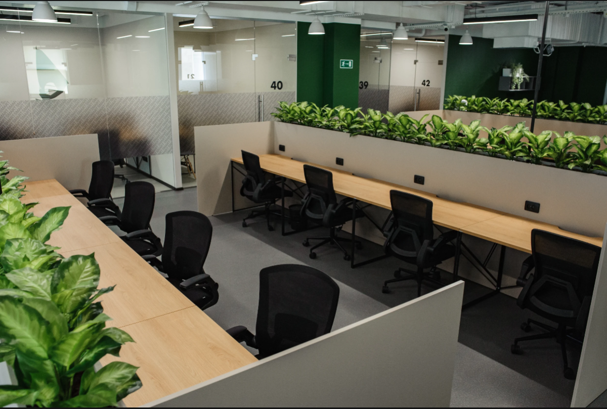 SMART Новгородская