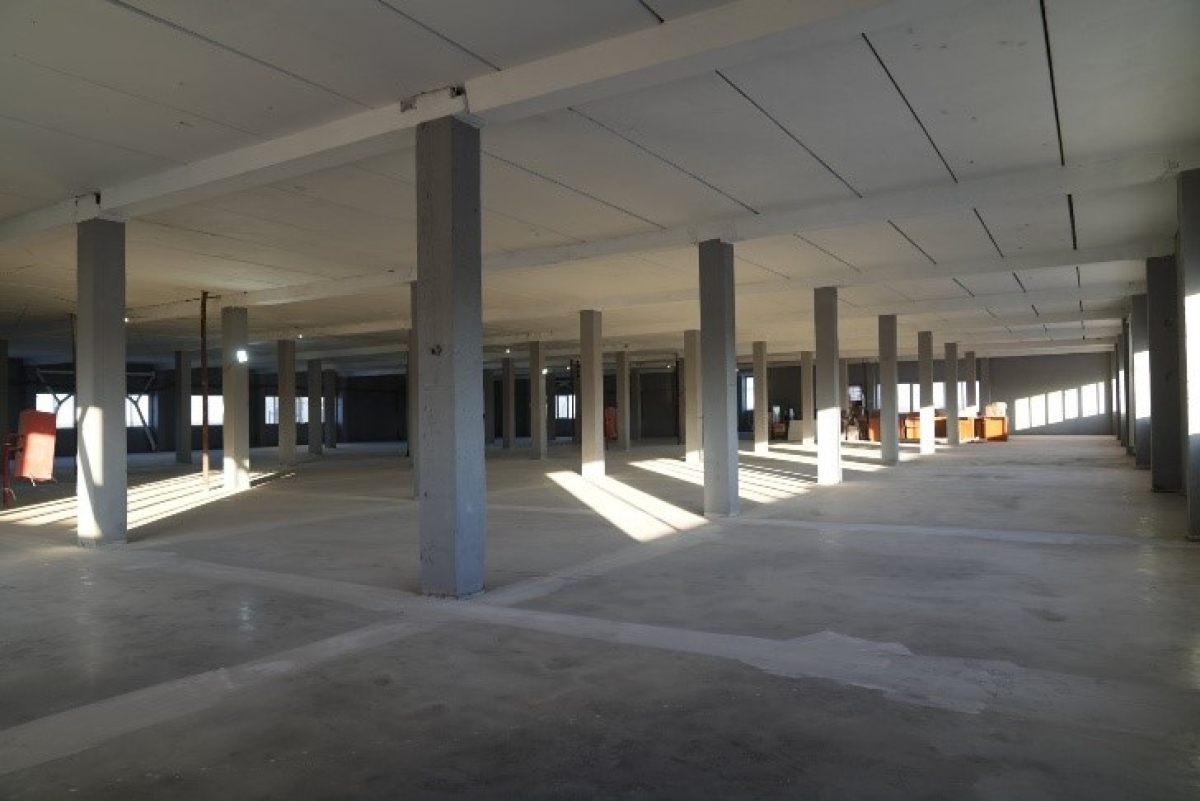 в Красном Селе