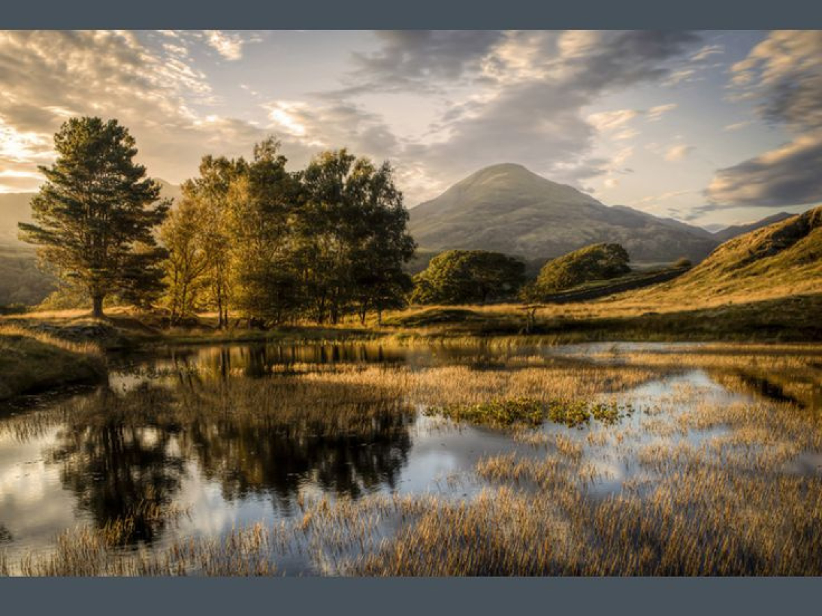 Русские Самоцветы