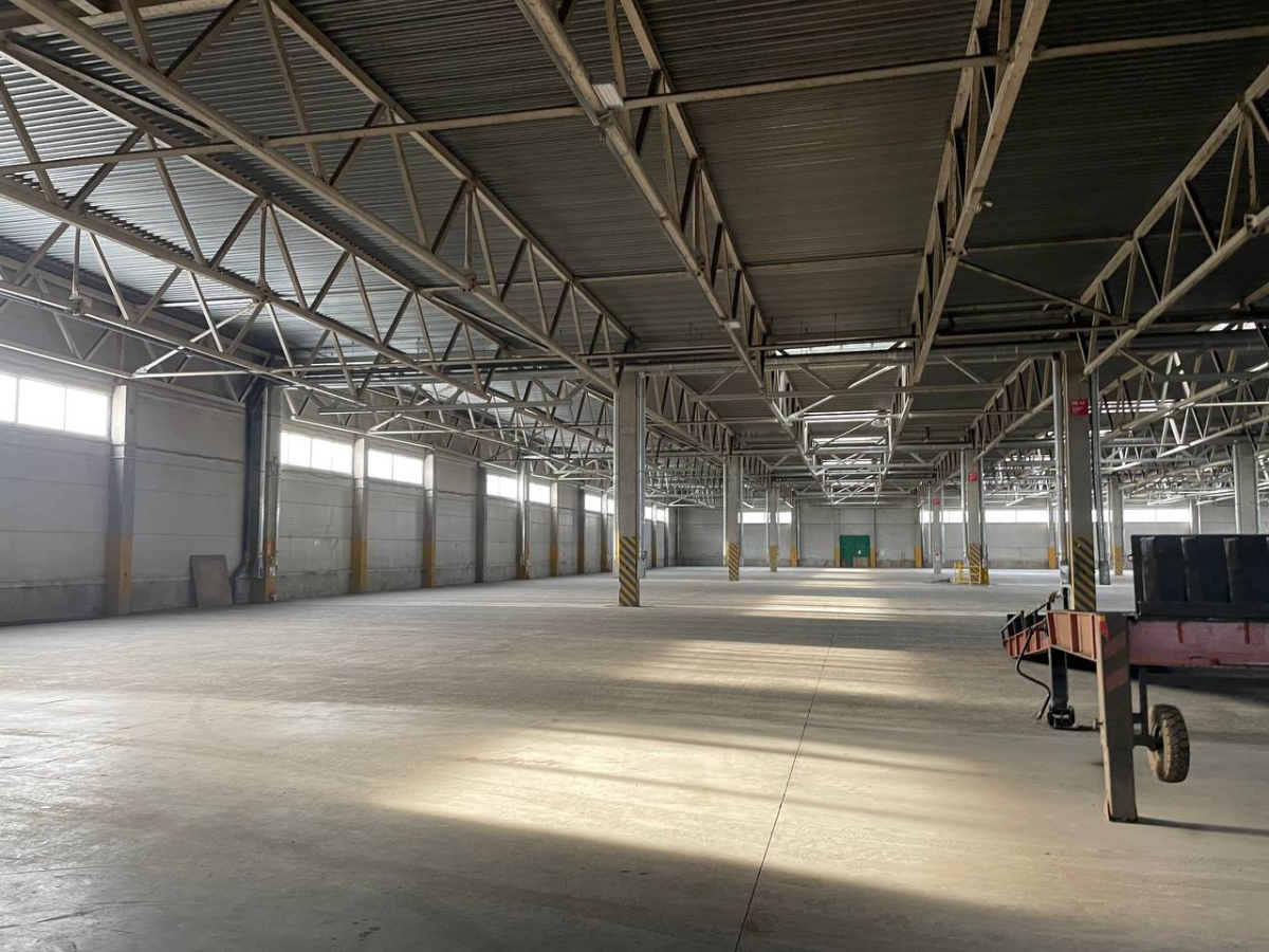 в дер. Разбегаево