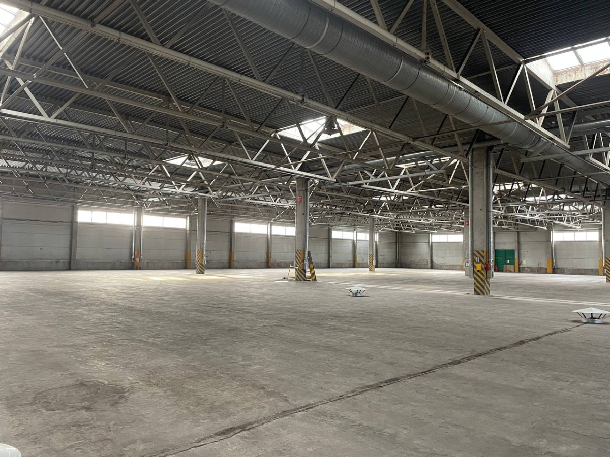 в дер. Разбегаево