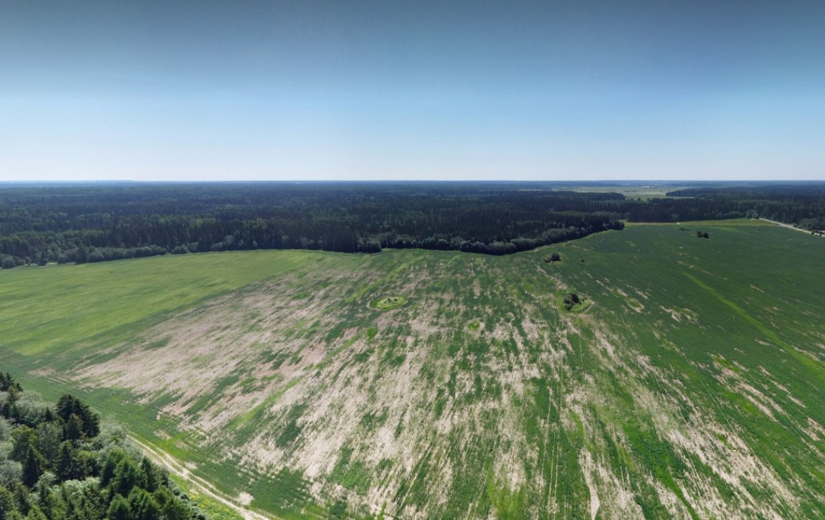 Участок промназначения в Пениковском поселении