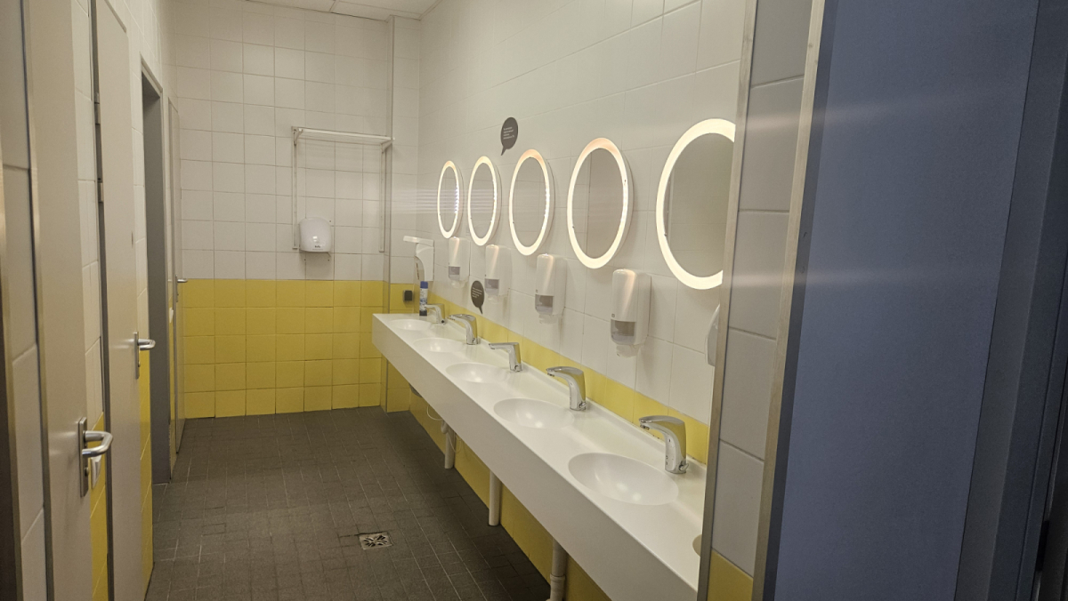 Мега Дыбенко