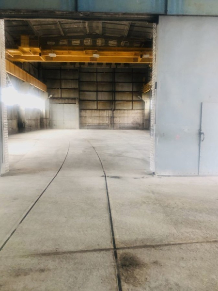 на Кипенской улице