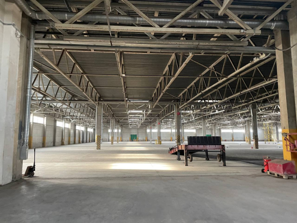 в дер. Разбегаево