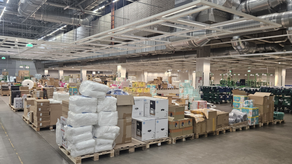 Мега Дыбенко