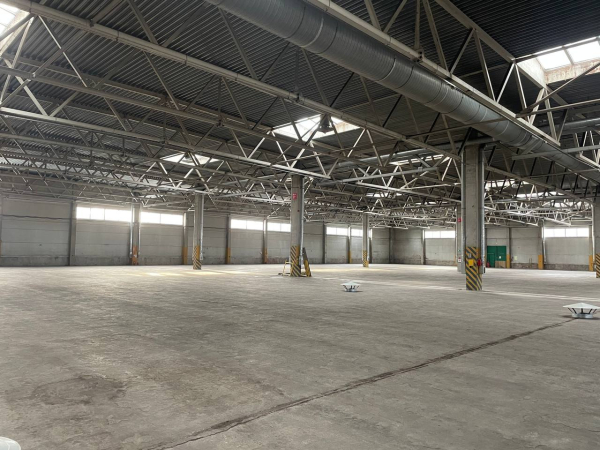 в дер. Разбегаево