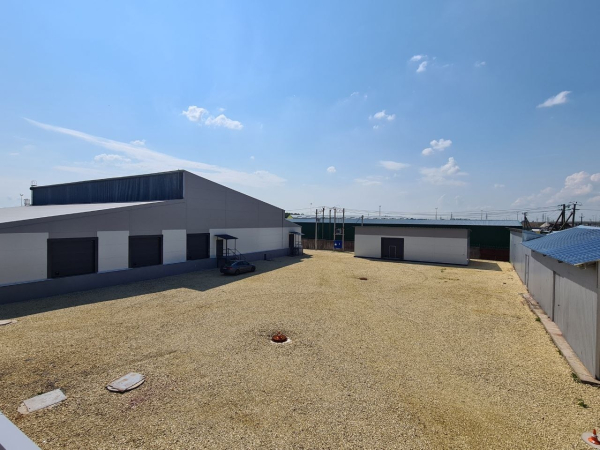 в Больших Колпанах