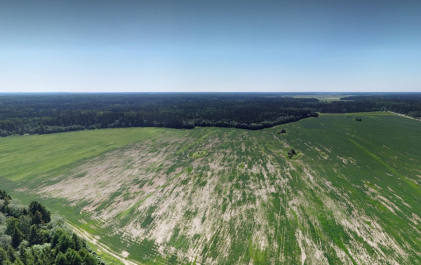 Участок промназначения в Пениковском поселении