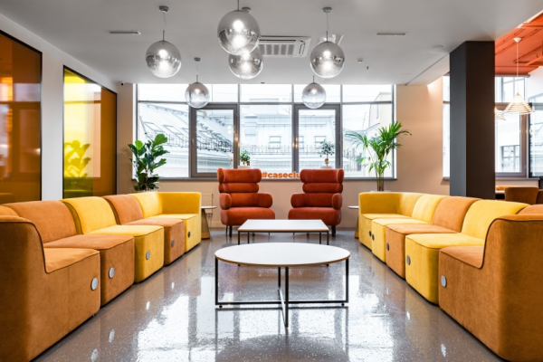 CASE Владимирская