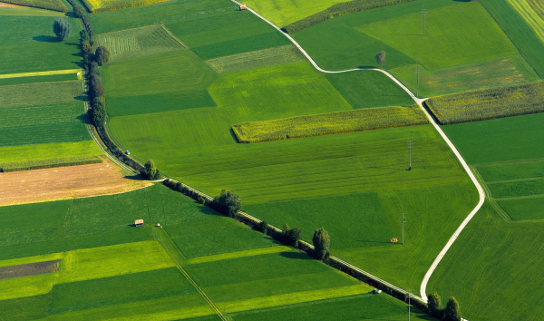 Земельные участки