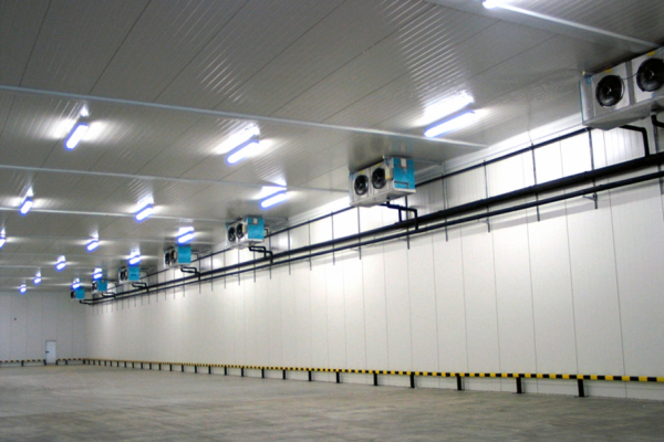 Интертерминал Парнас