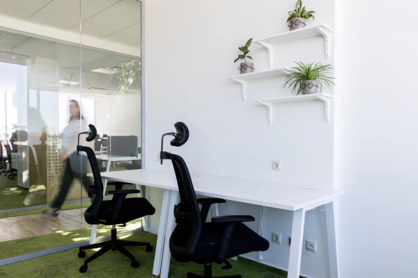 CASE Петроградская