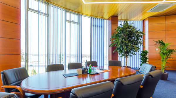 Перспектива