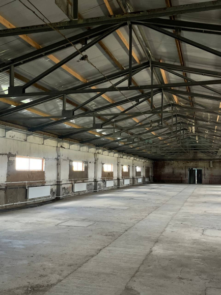 в Новом Свете