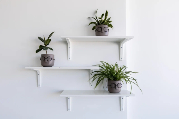 CASE Петроградская